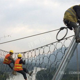 环形边坡防护网 路桥高边坡坡面挂网定制 RXI-200环形网