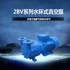 四川2BV5111系列水环真空泵 卧式2BV水环式电动真空泵 厂家直销 现货