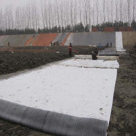 建材膨润土防水毯 垃圾填埋复合防水毯 优惠价格 欢迎选购