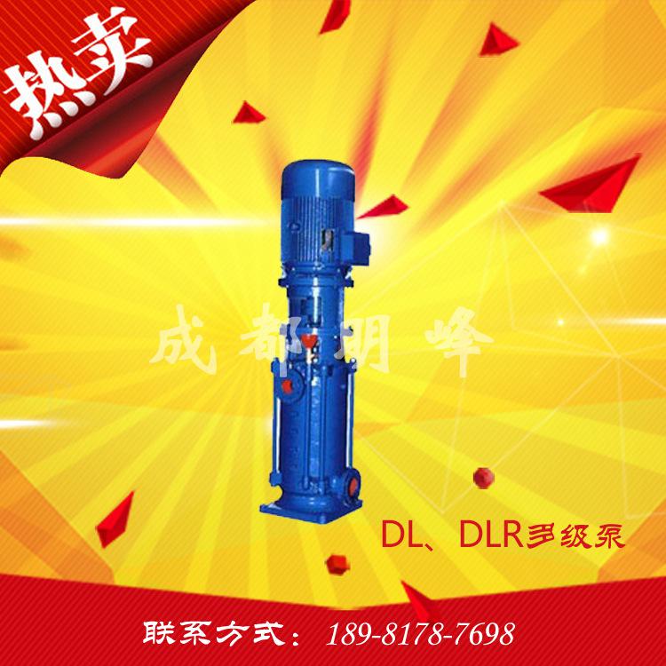 供应DL多级离心泵 铸铁耐磨泵 DLR热水多级泵 立式多级泵质保一年