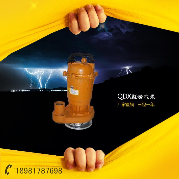 厂家供应QDX QX潜水电泵 220V微型潜水泵 家用水泵 小型潜水泵