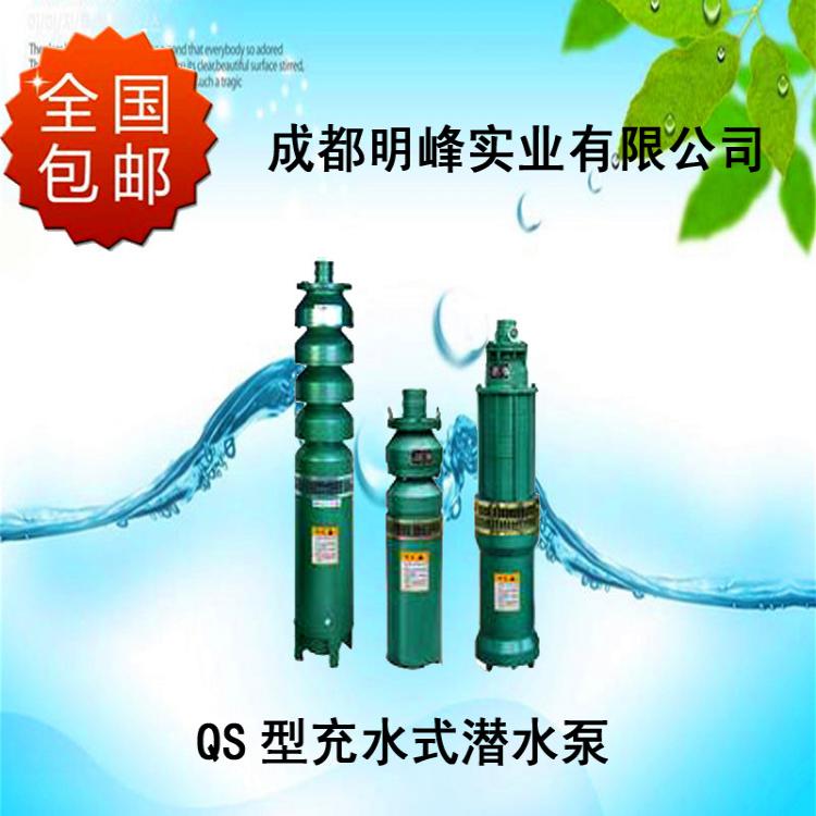 厂家直销 潜水泵 QS型充水式潜水电泵 高品质铸铁潜水泵 质保一年