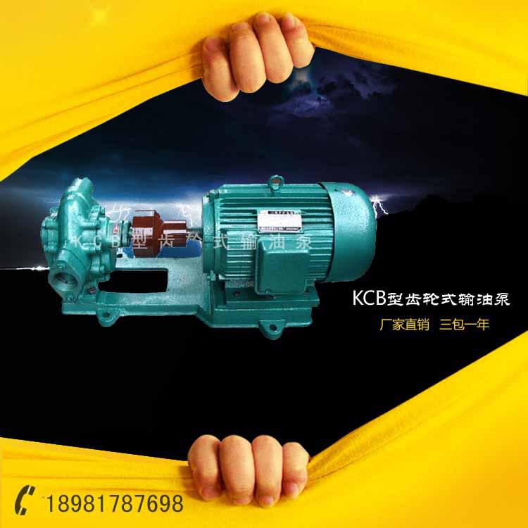 供应KCB齿轮式输油泵 KCB型不锈钢齿轮油泵 KCB-18.3齿轮油泵现货