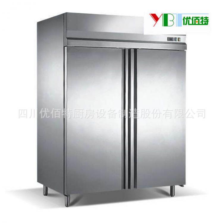 厂家直销立式商用冰柜双门 商用厨房冷柜 冰柜冷冻商用 商用冰柜厨房冰柜