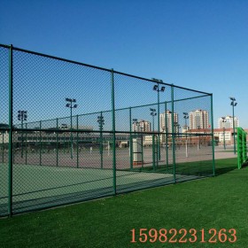 厂家直销批发 球场围网批发 网球场地围网 网球场围网 可定制