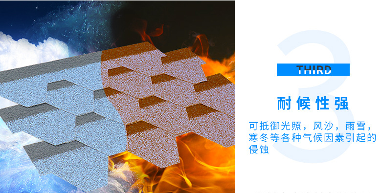微信图片_20190618135051
