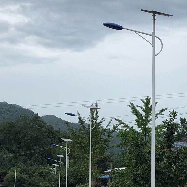 南充太阳能路灯厂家 超亮LED高杆灯 6米配送地笼 户外新农村公路 庭院照明