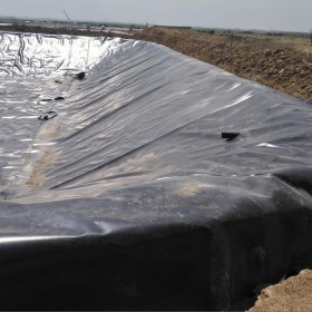 垃圾填埋场专用进口hdpe防渗膜  猪场沉淀池防渗膜