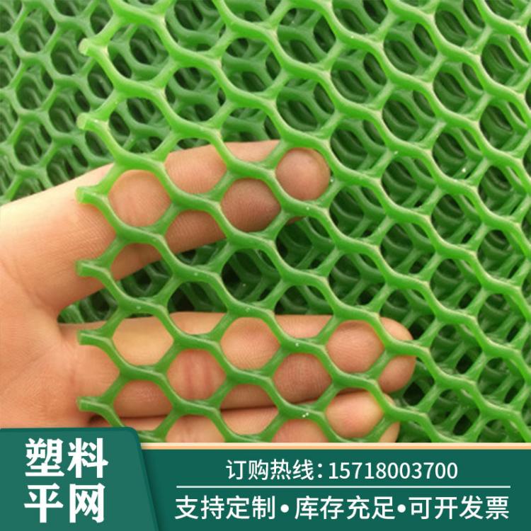 现货销售塑料平网 水产养殖用网 家禽牲畜用网 洞洞网 塑料网