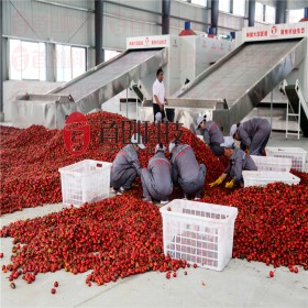 新疆辣椒烘干机设备生产厂家