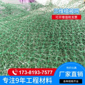 三维植被网护坡三维网垫土绿化环保工网垫绿色em3多规格