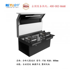 REYU睿宇F36新款分体式集成灶 下排式油烟机 环保集成灶 开放式厨房烟机