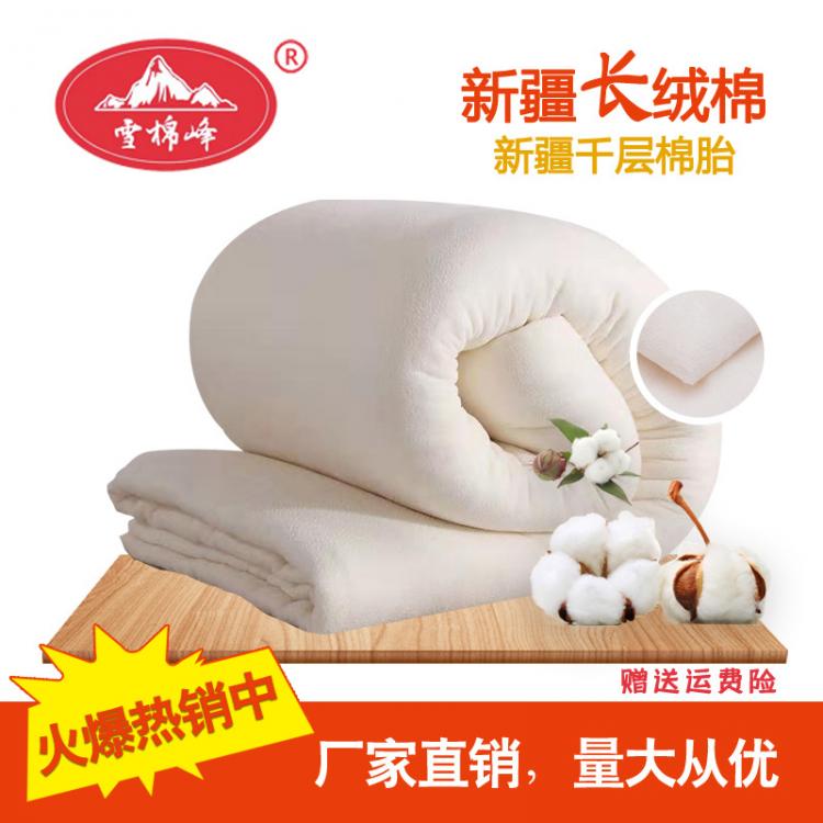 厂家批发直销新疆一级无网高级棉花棉胎 棉絮棉芯 棉被12斤