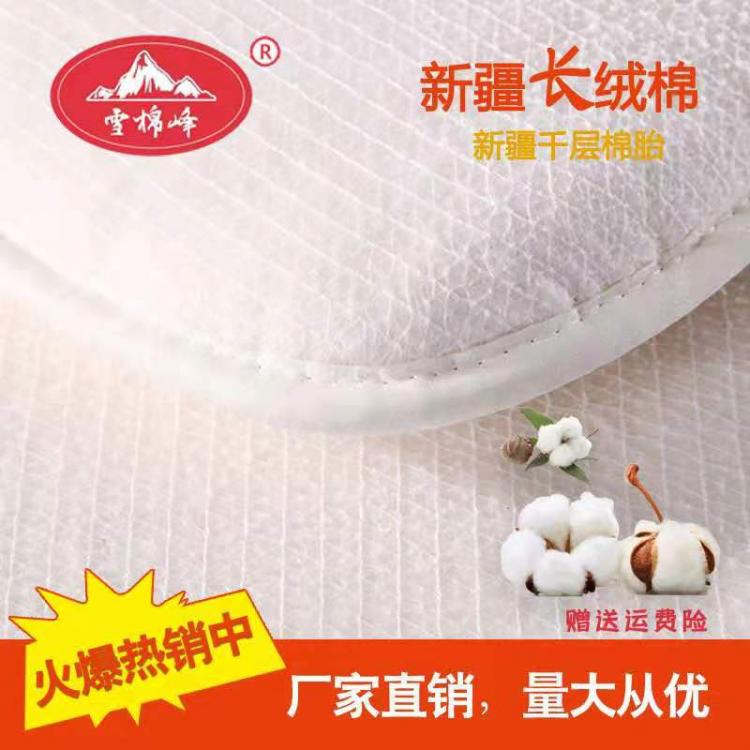 棉花厂家批发直销新疆特级长绒棉被棉絮棉胎 棉芯 盖被学生棉被 包边加密10斤