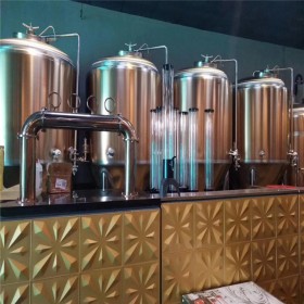 重庆啤酒精酿设备 500升自酿啤酒发酵罐啤酒整套设备 400升精酿啤酒设备生产线价格