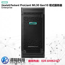 银川惠普HPE服务器总代理 惠普HPE ProLiant ML30 Gen10 塔式服务器批发