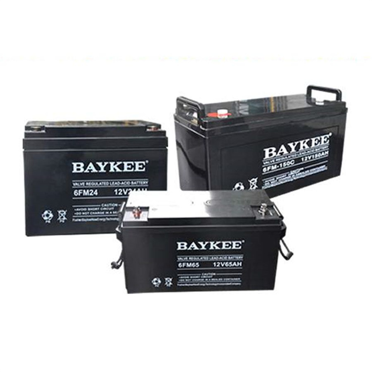 BAYKEE蓄电池6FM系列 12V24AH阻燃壳体铅酸免维护柏克蓄电池 直流屏UPS电源
