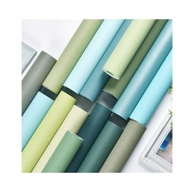 北欧风莫兰迪素色纯色无纺布墙纸现代简约蓝色绿色蚕丝纹长纤壁纸