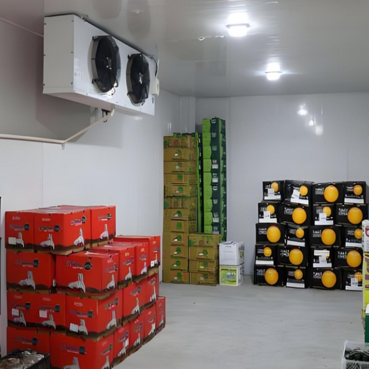 食品保鲜冷库 水果蔬菜保鲜冷藏库 大型冷库建造承包 按需定制