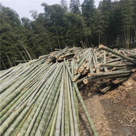 竹建筑有哪些突出优点？