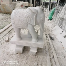 动物雕刻  汉白玉大象石雕 宝兴县雕刻厂家