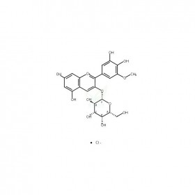 氯化矮牵牛素-3-O-半乳糖苷维克奇生物实验室中药对照品