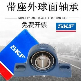 上海瑞典SKF进口轴承代理商上海SKF轴承一级经销商SKF6205-2RSH