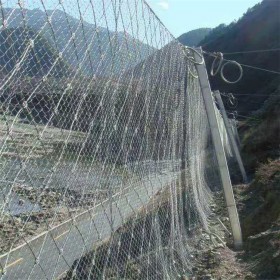 工厂销售  山体防护网 防滑坡钢丝网 被动主动边坡防护网