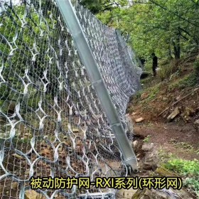 四川边坡防护网  边坡钢丝防护网 山体碎石防护网价格