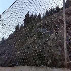 被动防护网 石笼网 被动环形网价格 拦截防护山体滑坡钢丝绳网