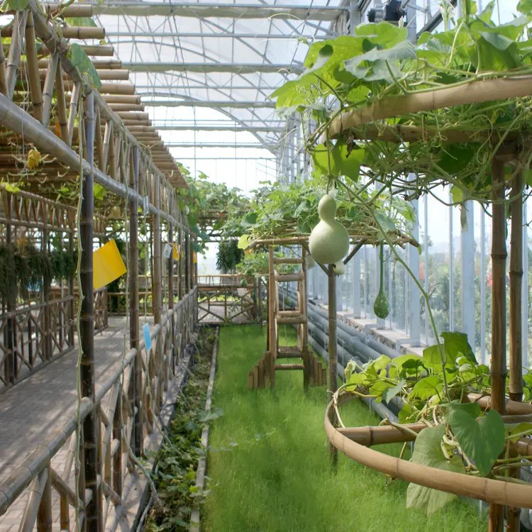 生态餐厅  温室工程大棚 免费设计 支持定制