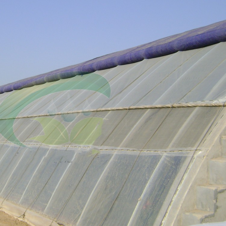 日光温室  农业简易种植 用材优良 指导安装