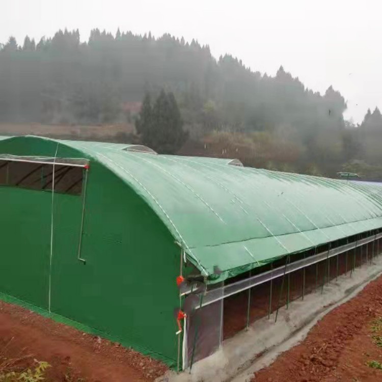 养殖大棚 结实耐用 可搭保温棉被 蔬菜温室搭建