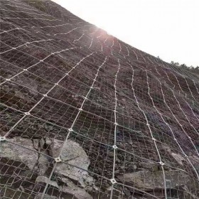 主动边坡防护网 泥石流边坡挡石网 耐高温