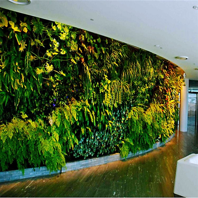 植物墙系列租赁 商场形象墙 绿化植物景观墙可定制