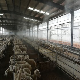 养殖场等场所喷雾消毒极大解决病菌问题 四川人造喷雾制造厂家