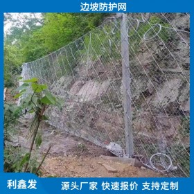 利鑫发-主动边坡防护网厂-矿山修复-护坡铁丝网