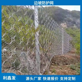 利鑫发-供应边坡山体防护网-安全防护网-深耕边坡工程防护