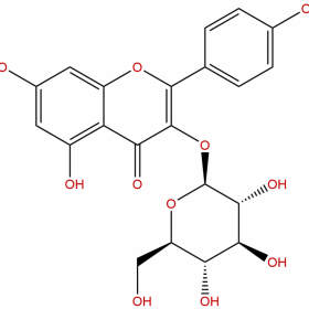 【麦德生】【分析标准品】紫云英苷；山柰酚-3-O-葡萄糖苷  480-10-4 20mg/支 HPLC＞99% 克级现货供应 顺丰包邮 支持货到付款