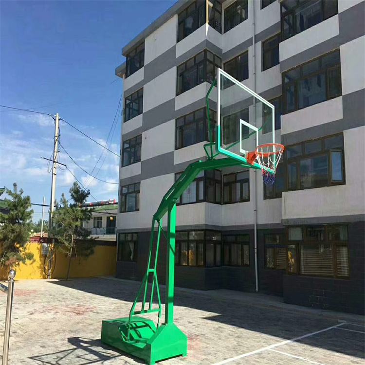 学校标准篮球架子 扣篮篮球框室外家用成人户外儿童投篮架