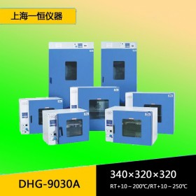 实验室小型电热恒温鼓风干燥箱DHG-9030A