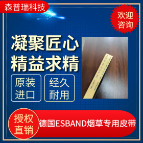 成都卷烟厂机械设备用 德国ESBAND传动带  无接缝平皮带