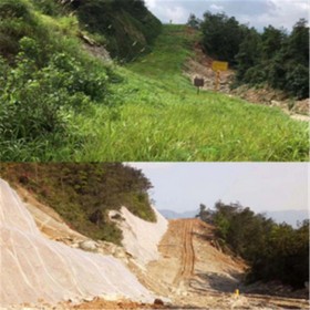 边坡绿化工程  矿山荒山坡面复绿施工  生态防护园林绿化修复