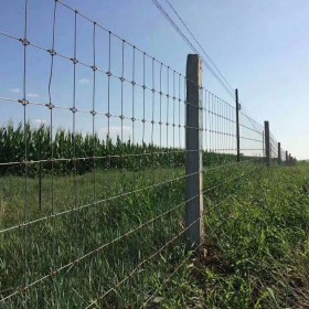 牛栏网 养殖圈地铁丝网 镀锌加粗 园林防护草原网