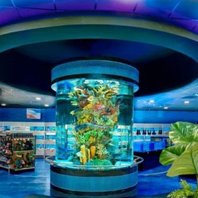 水族馆工程鱼缸安装施工 喜兔一站式设计生产安装亚克力鱼缸