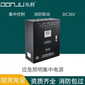 广东东君照明 应急照明集中电源 A型 DC36V 集中控制型 消防联动带通讯 500W 路由器 DJ-D-0.5KVA