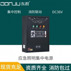 广东东君照明 应急照明配电箱 A型36V 消防通讯联动 双电源 500W 分配电装置 DJ-PD-36