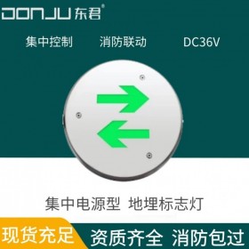 广东东君照明 地面标志灯 地埋式 3W 防水 智能消防应急疏散指示 双向 A型36V 集中电源 可变向 集中控制 DJ-01N