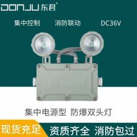 广东东君照明 防爆双头灯 应急照明 壁挂 DC36V 智能联动 IP65 集中电源 DJ-02I
