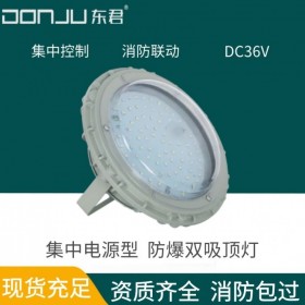 广东东君照明 防爆应急吸顶 照明灯 IP65 防腐圆形 36V 全铝 钢化玻璃 集中电源型 智能照明 DJ-08C